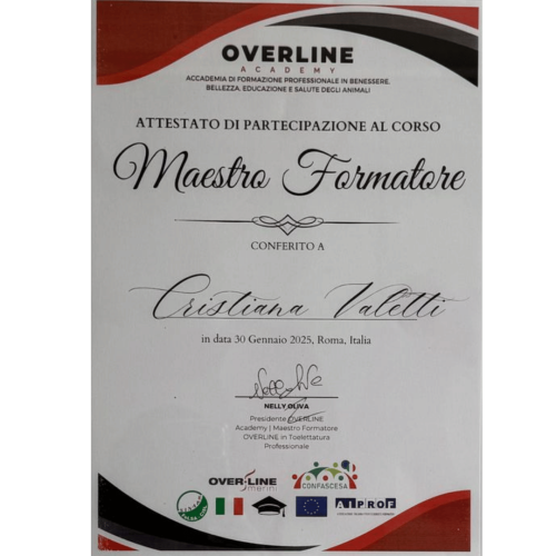 certificato